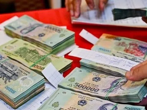 Lâm Đồng: Phá đường dây ma túy dưới vỏ bọc chăm sóc cây cảnh