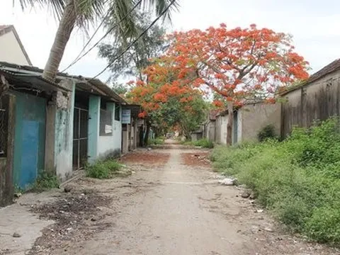 Hoang tàn ở “phố đèn đỏ” sau chiến dịch triệt xoá mại dâm