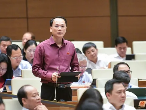 Vé máy bay lại nóng diễn đàn Quốc hội