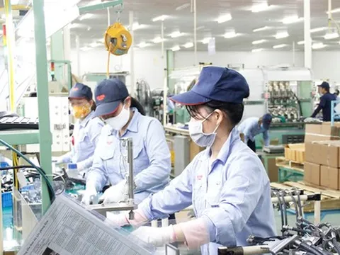 Bị cho thôi việc vì từ chối tăng ca, liệu có đúng luật?