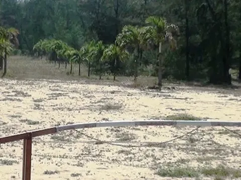 Đề nghị tạm hoãn xuất cảnh đối với "Bông hồng vàng" Phú Yên