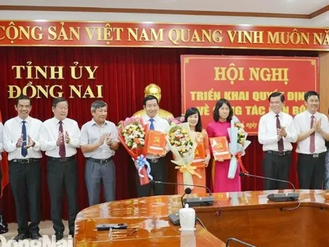 Bổ nhiệm 2 Trưởng phòng giữ chức Phó Trưởng Ban Nội chính Tỉnh ủy, Phó Hiệu trưởng