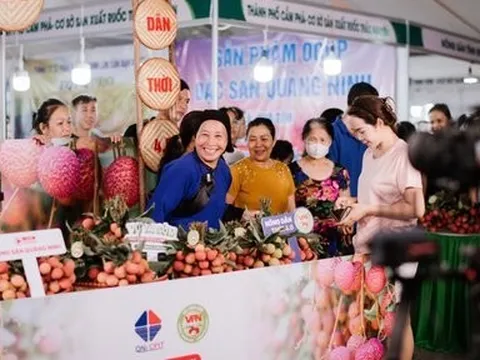 Quảng Ninh: 400 ha vải chín sớm đem lại doanh thu 60 tỷ đồng