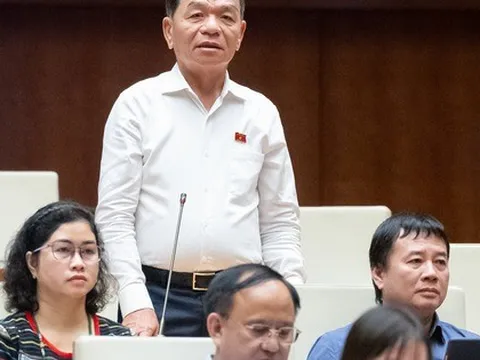 Giám sát tuyển dụng, bổ nhiệm cán bộ