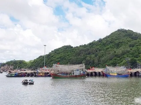 Hải Phòng: Khẩn trương tìm kiếm 3 người mất tích trên vùng biển Cát Bà