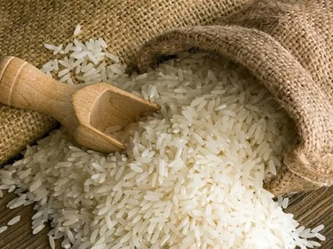 Doanh nghiệp lo lợi ích nhóm, quay lại cơ chế xin - cho nếu áp dụng giá sàn xuất khẩu gạo