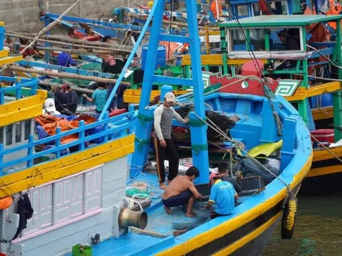 Bình Thuận: Tàu cá bị chìm sau va chạm, 4 thuyền viên may mắn an toàn