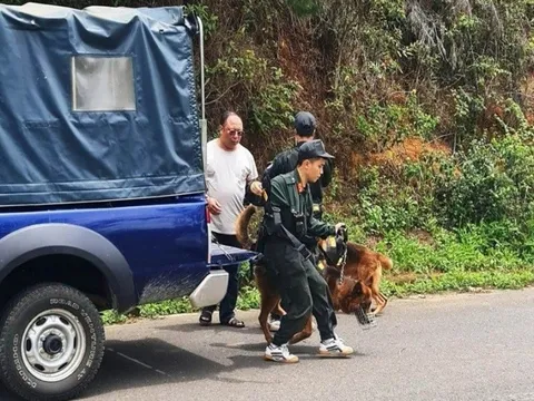 Vụ phát hiện thi thể nữ ở hồ Tuyền Lâm: Công an rà soát nhà trọ tìm danh tính