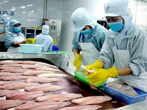 Xuất khẩu thủy sản 5 tháng đạt 3,6 tỷ USD: Kỳ vọng tăng tốc cuối năm