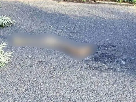 Công an công bố nhận dạng tử thi phát hiện ở hồ Tuyền Lâm Đà Lạt