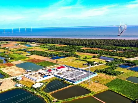 Trà Vinh: Thành viên Trung Nam Group nợ thuế gần 18 tỷ đồng