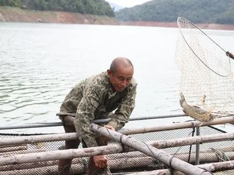 Lão nông bỏ ruộng xuống nước, kiếm trăm triệu/năm nuôi con ăn học