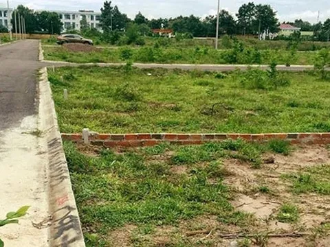 Chuyển mục đích sử dụng đất để thực hiện Dự án Cụm công nghiệp Đông Quang