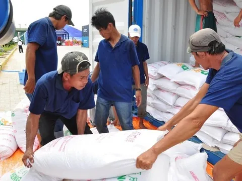 Xuất cấp gạo cho 5 địa phương dịp giáp hạt năm 2024