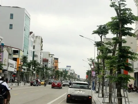 Nghệ An báo cáo gì sau yêu cầu rà soát các dự án cây xanh liên quan Cty Công Minh?