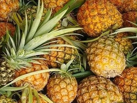 Giá nông sản ngày 6/6: Dứa được mùa giá cao, sầu riêng ổn định, cà phê trên đà giảm