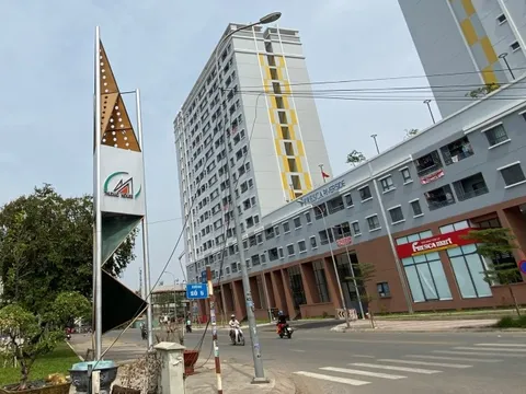 Sếp một công ty địa ốc đình đám trên sàn bị miễn nhiễm vì thiếu trung thực, không khắc phục các sai phạm đã gây ra