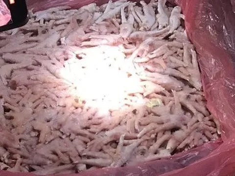Quảng Ninh: Phát hiện 25 tấn chân gà đông lạnh không rõ nguồn gốc