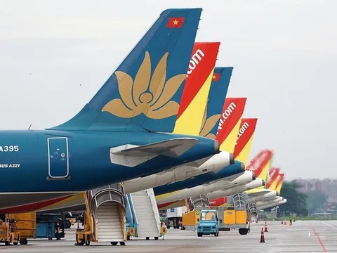 Cái tên được người Việt nghĩ đến ngay lập tức khi muốn du lịch: Dẫn đầu là một hãng hàng không, Shopee bất ngờ góp mặt