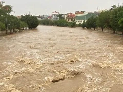 Nước ngập ngang người, đồ đạc bị cuốn trôi trong mưa lớn ở Quảng Ninh