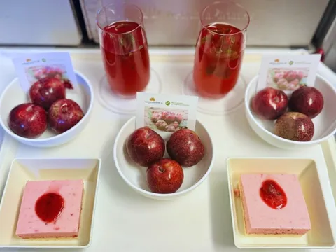 Vietnam Airlines "đu trend" ẩm thực: Hết cam Xã Đoài đến vải Lục Ngạn, tháng 6 này tới mận hậu Sơn La lên khay phục vụ khách VIP thương gia