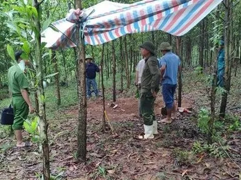 Thông tin mới vụ bé gái 2 tháng tuổi tử vong sau khi tiêm vắc–xin