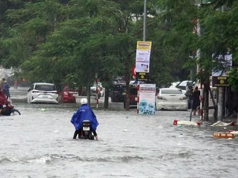 Nhiều địa phương có mưa kỷ lục, riêng Hải Phòng lớn nhất 45 năm qua
