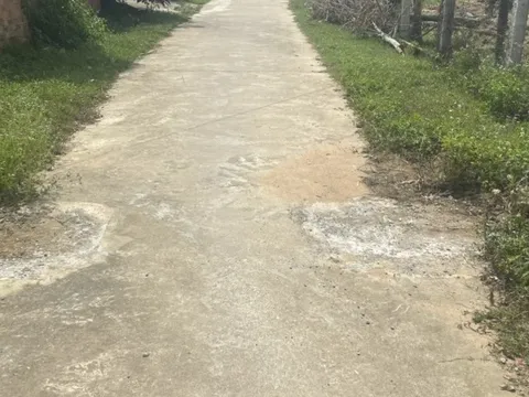 Đắk Lắk: Đã tháo dỡ 2 trụ bê tông chặn xe trốn trạm thu phí