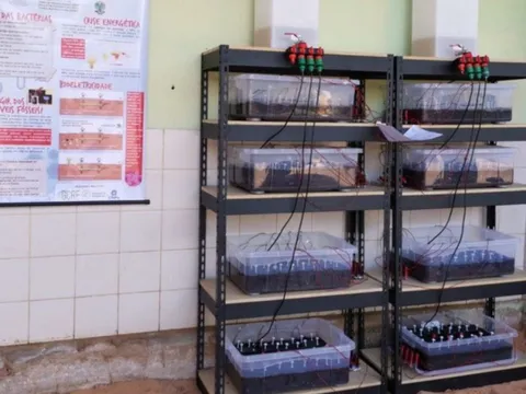 Thú vị pin tạo ra điện năng từ vi sinh vật trong đất