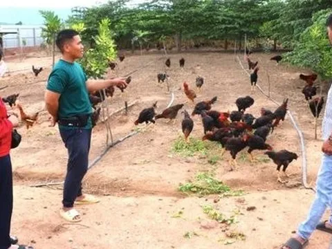 Chàng trai 9X thu lãi 3 tỷ đồng/năm nhờ chí làm giàu trên vùng "đất khó"