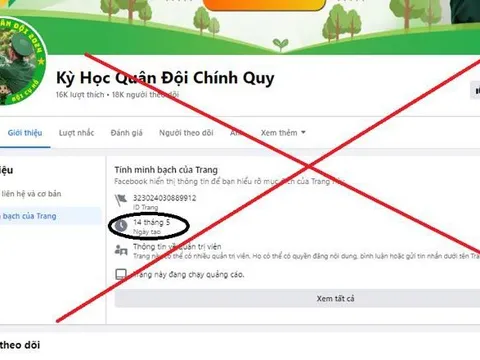 Bà mẹ chuyển tiền 15 lần mất 1,6 tỷ đồng mới biết bị lừa