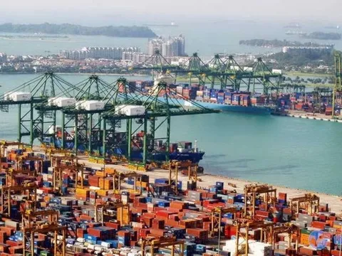 Giá cước vận tải “nhảy vọt” nhìn từ sự cố Cảng Singapore tắc nghẽn nghiêm trọng