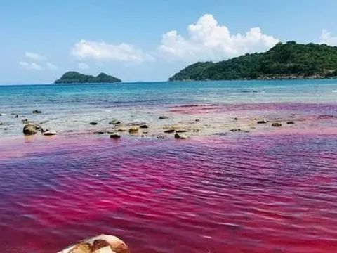 Phú Quốc: Xuất hiện hiện tượng hiếm gặp trên biển