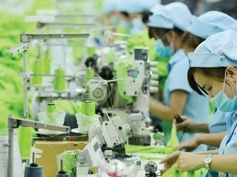 Văn hoá doanh nghiệp trong hệ giá trị văn hóa quốc gia - [Bài 2] Những thách thức cần vượt qua