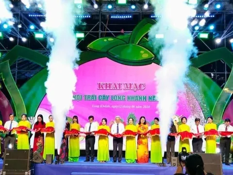 Đồng Nai: Khai mạc Lễ hội trái cây Long Khánh năm 2024