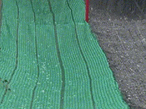 NÓNG: TP HCM mưa trắng trời, nhiều quận xuất hiện mưa đá