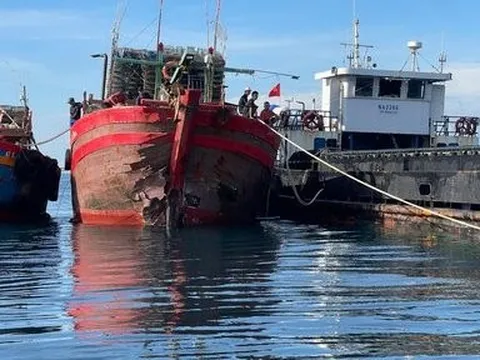 Va chạm với tàu chở hàng trong đêm, 8 ngư dân thoát nạn gang tấc
