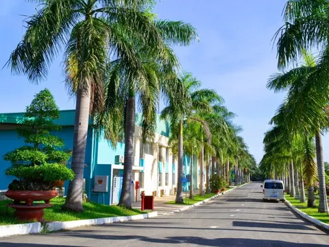 Từng có doanh thu hàng nghìn tỷ/năm, một DN lớn tại TPHCM đang chật vật tồn tại, sa thải gần 4.000 nhân sự