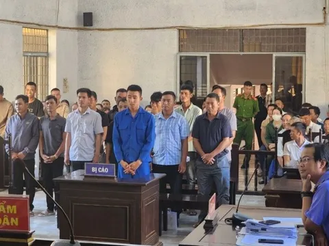 Nhiều cựu cán bộ lãnh án vì liên quan đến vụ hủy hoại hơn 410ha rừng