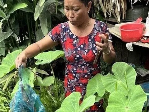 Người phụ nữ bị bắt vì mua bán, tàng trữ chồn bay