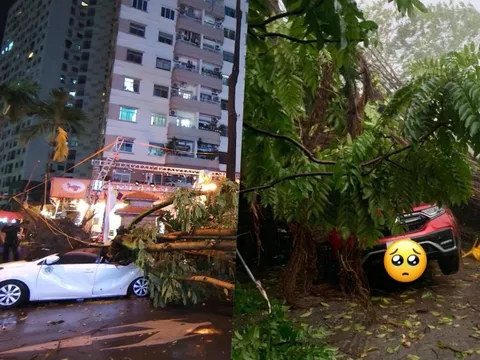 Hà Nội mưa dông bất chợt, cây đổ đè bẹp xe ô tô