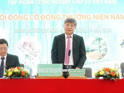 Giá cao su tăng, lợi nhuận Tập đoàn Công nghiệp cao su Việt Nam khả quan