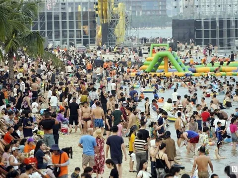 Quảng Ninh: Tp.Hạ Long sẽ đình chỉ cơ sở du lịch vi phạm