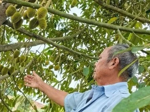 Kon Tum: Nhiều mô hình sinh kế giúp người dân xã biên giới thoát nghèo