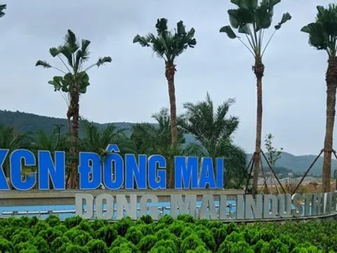 Nhiều công nhân ở Quảng Ninh nghi ngạt khí phải nhập viện cấp cứu