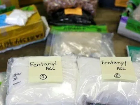 Loại ma túy 'xác sống' mạnh gấp 50 lần heroin, 100 lần morphine mà Bộ Công an báo động có gì đặc biệt?