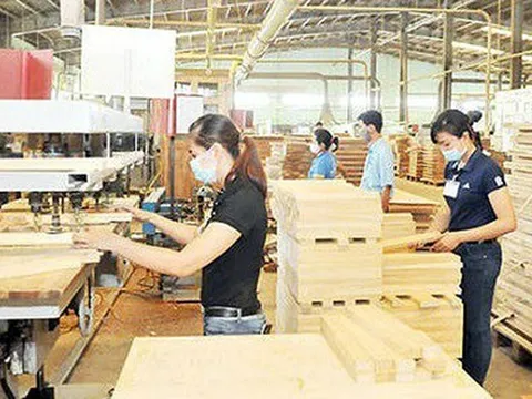 Bốn nhóm đối tượng được gia hạn nộp thuế, tiền thuê đất năm 2024