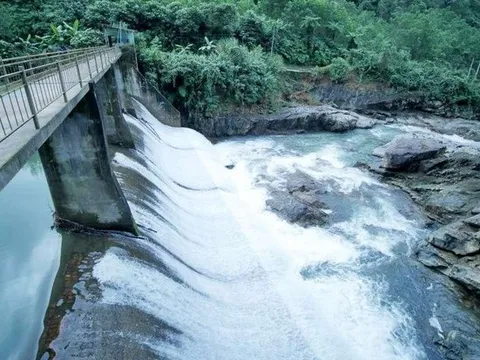 Công ty điện doanh thu hàng trăm tỷ trên HOSE: Cổ phiếu đột nhiên tăng trần 5 phiên liên tiếp và sự xuất hiện của đại gia đứng sau một ngân hàng