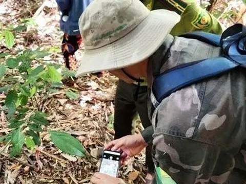 Nhóm phụ nữ trình báo thấy hổ: Nghi là mèo rừng