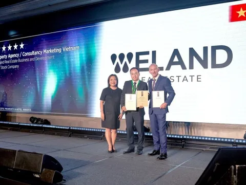 IPA 2024 vinh danh đơn vị tư vấn duy nhất của Việt Nam với 3 chiến thắng